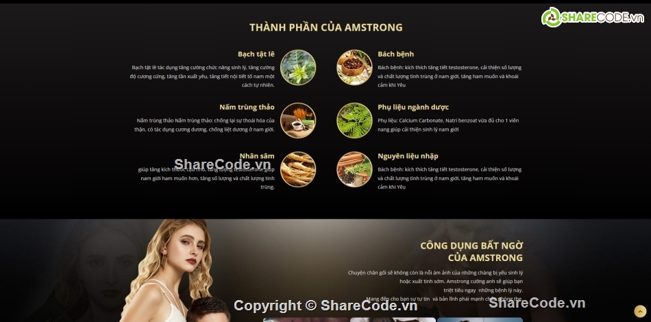 share code,thực phẩm chức năng,dịch vụ,theme,wordpress