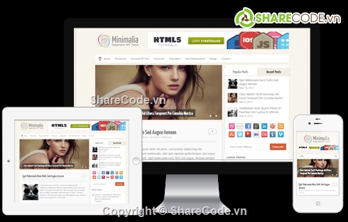 Minimalia,MyThemeShop,WordPress themes