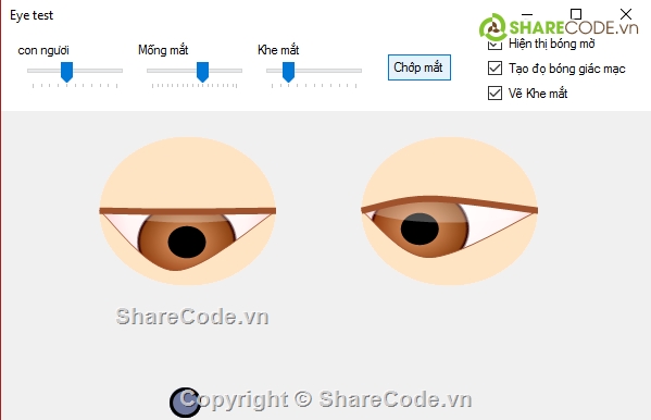 C#,gdi+,chuyển động con ngươi,con ngươi mắt,mắt người,Eyesimulator.