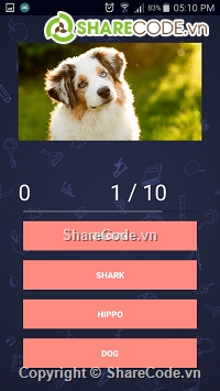 android,trắc nghiệm android,game trắc nghiệm android,Online quiz app android studio,Online quiz app