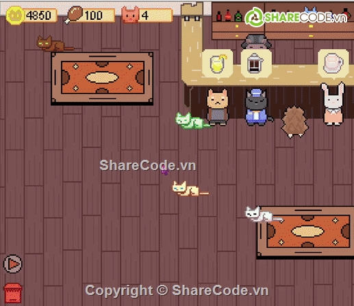 Quán cà phê,cà phê mèo,quản lý cà phê mèo