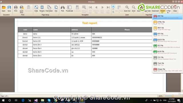 Report,xtraReport,Báo cáo,báo cáo VB.net,Dynamic XtraReport