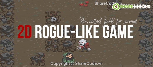 code Game 2D,Rogue Like Game,source 2D Rogue