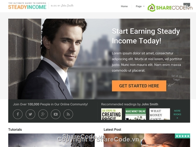 wordpress,theme,theme wordpress,SteadyIncome,giao diện web