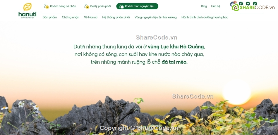 Share code chuyên nghiệp,hanuti,sharecode hanuti,hanuti chuẩn seo,sharecode website giống hanuti