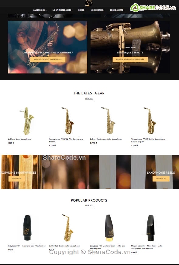 Saxophone,mua bán nhạc cụ,website bán nhạc cụ,sharecode bán Saxophone,bán saxophone,Sharecode website mua bán nhạc cụ Saxophone giá rẻ