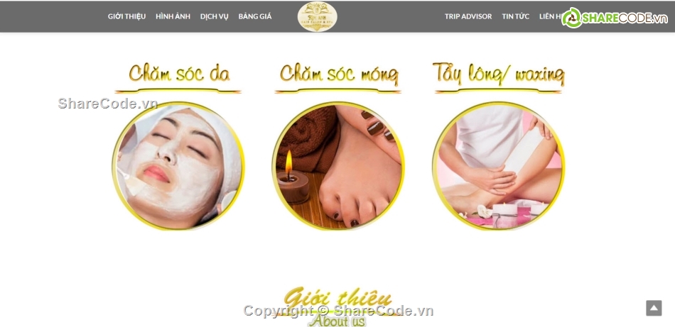 Share code chuyên nghiệp,Website Thẩm mỹ viện Spa,share code thẩm mỹ viện