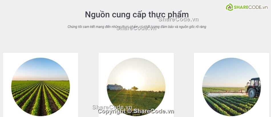 code web ẩm thực,code Website bán thực phẩm,source code web thực phẩm,code web thực phẩm