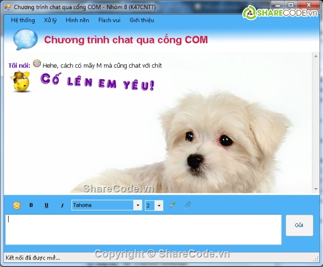 chat server,chat qua mang lan,chat qua cổng com,chat client