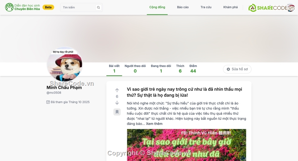 Diễn đàn,web,thpt,code,source code web diễn đàn,học sinh