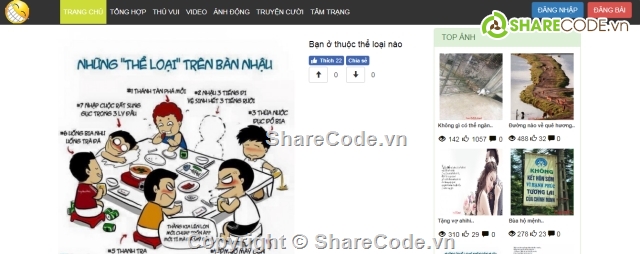 haivl.com,code web hài,web giải trí,code web giải trí,source web haivl