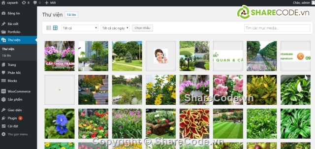 Website giới thiệu cây xanh,Thi công cảnh quan đô thị,web cây cảnh chuyên nghiệp,website giới thiệu cây cảnh,Cây cảnh