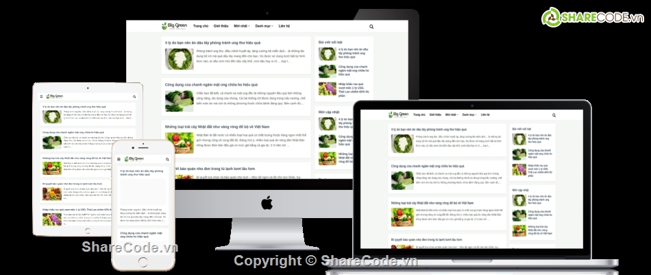 Template,Template Blog,Blogspot,bloger tạp chí tin tức