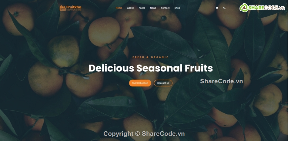 Template website mua bán nông sản,Template website bán nông sản sạch,Template website giới thiệu nông sản,Template website rau củ quả,Code website thực phẩm rau quả