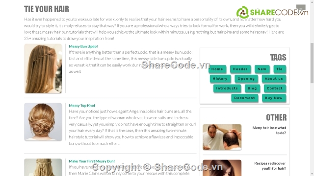 theme html,website html đẹp,Wordpress Website,Template,Template website SLON HAIR