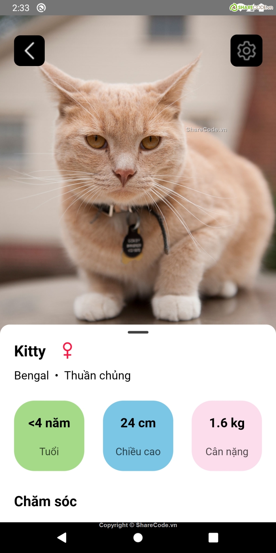 Ứng dụng,thú cưng,Ứng dụng  Android