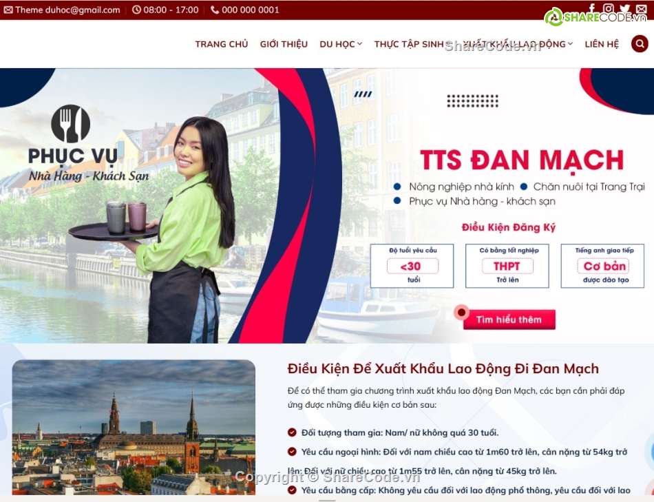 share code wp,code du học,theme wordpress,share code,source code