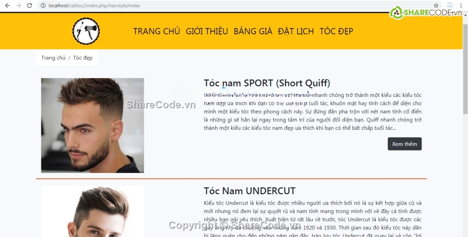 website,online,lịch
