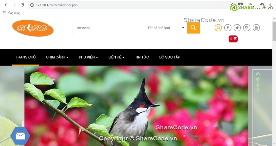 web php,website,giao diện,website đẹp