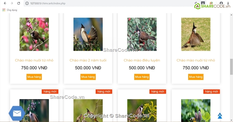 web php,website,giao diện,website đẹp