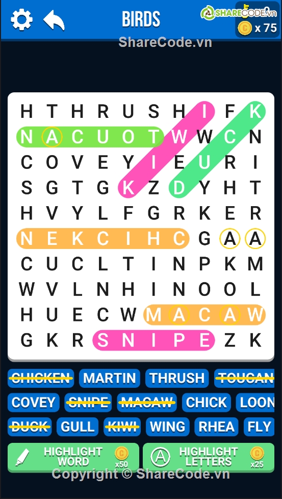 word search,word search puzzle,word search game,Word Search template