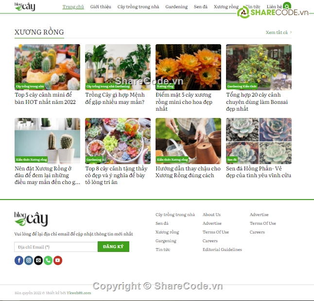 Website tin tức,blog tin tức đẹp,Web tin tức,blog