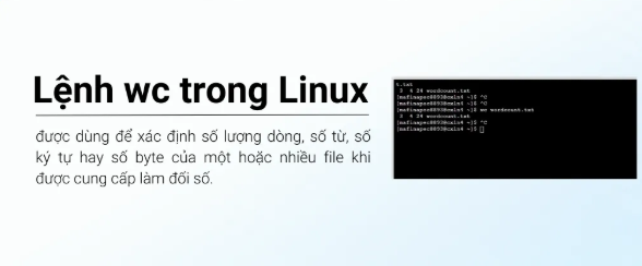  wc trong Linux, Linux, tin tức công nghệ