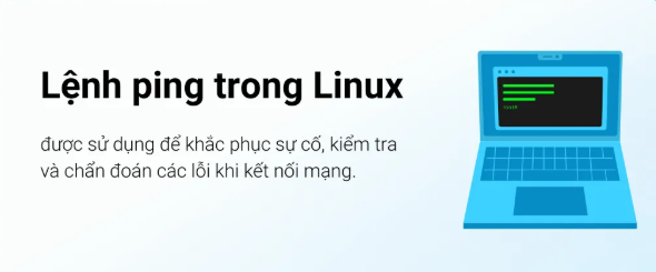 Linux, ping, tin tức công nghệ
