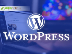 wordpress,themewordpress,