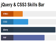 css3, jQuery, progress bar, skill bar,Amimated