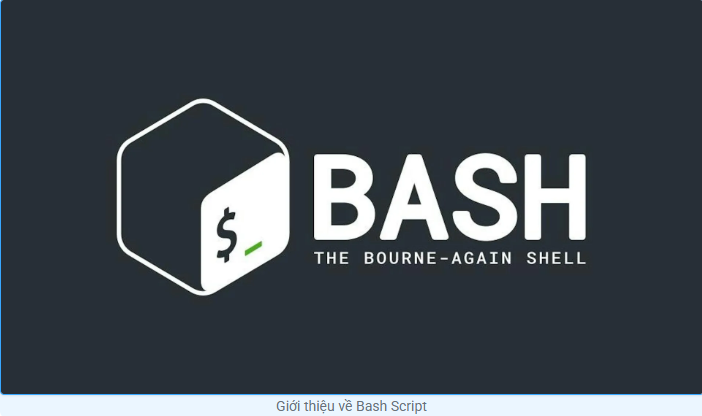 linux, bash, tin tức công nghệ