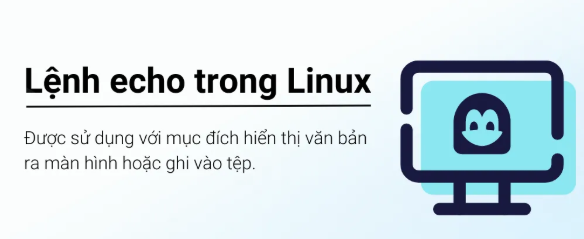 linux, echo, tin tức công nghệ