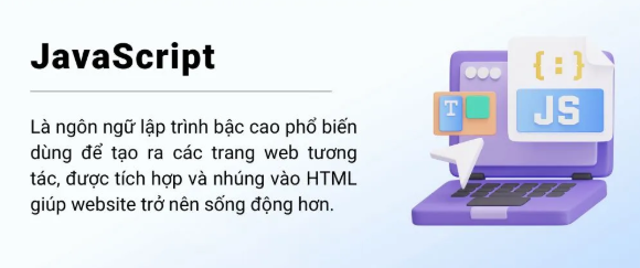 javascript, js, website