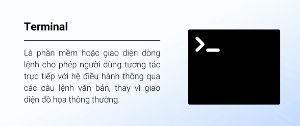 Terminal, website, CMD