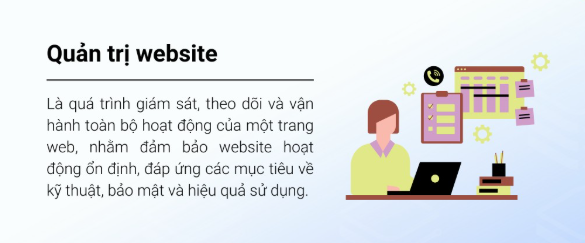 website, quản trị website, marketing