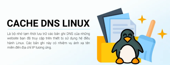 linux, DNS, tin tức công nghệ