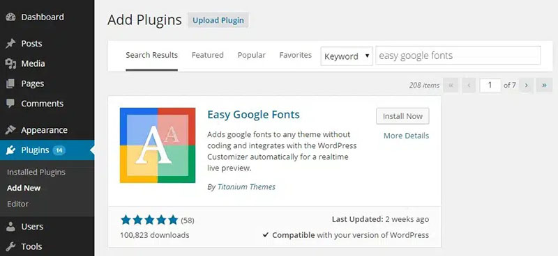 Plugin font, WordPress, công cụ viết chữ