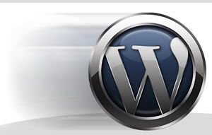 cache, tăng tốc web, thu thuat wordpress, wordpress plugins, wordpress tips