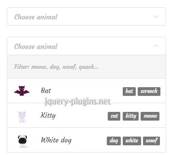 Dropdown Box, jQuery Plugins, Select Box, Javascript, javascript tips