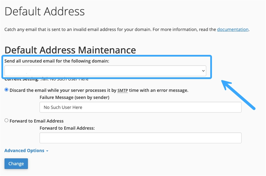 Tin tức công nghệ, cPanel, Default Address