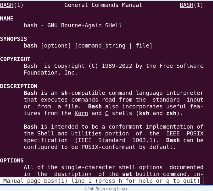Bash là gì? Khám phá môi trường Bash và 3 cách sử dụng cơ bản linux, bash, tin tức công nghệ