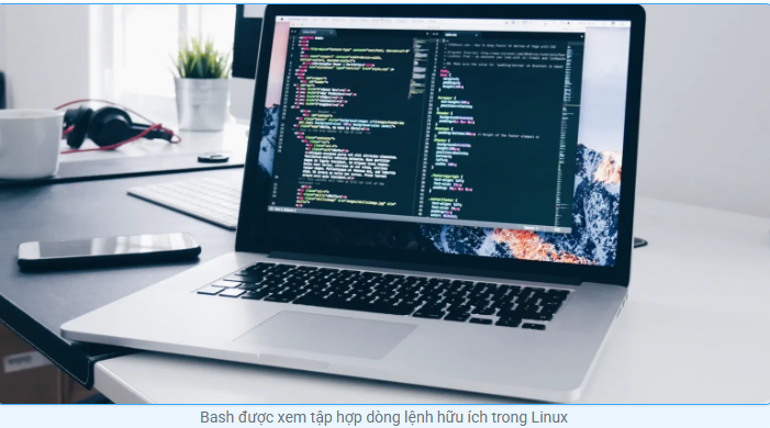 Bash là gì? Khám phá môi trường Bash và 3 cách sử dụng cơ bản linux, bash, tin tức công nghệ