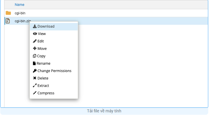 Hướng dẫn nén và giải nén file trên hosting cPanel đơn giản, nhanh chóng Cpanel, hosting, nén zip