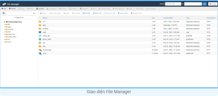Hướng dẫn nén và giải nén file trên hosting cPanel đơn giản, nhanh chóng Cpanel, hosting, nén zip