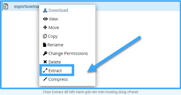 Hướng dẫn nén và giải nén file trên hosting cPanel đơn giản, nhanh chóng Cpanel, hosting, nén zip