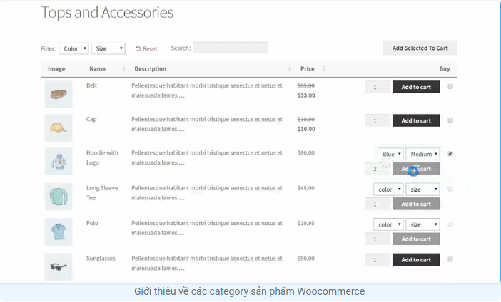 WooCommerce, wordpress, WP