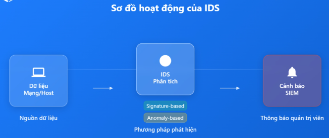 IDS là gì? Chức năng, sự khác biệt giữa IDS, IPS và tường lửa IDS, IPS, firewall