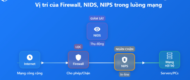 IDS là gì? Chức năng, sự khác biệt giữa IDS, IPS và tường lửa IDS, IPS, firewall