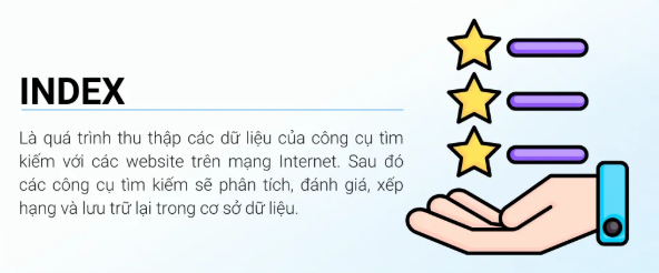 Hiểu về Index và quy trình Index website Google mới nhất Google, index, website
