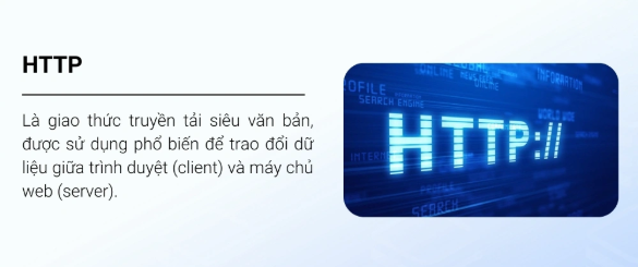 http, https, website